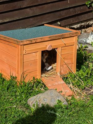   at Die MonRo Ranch - Der Lebenshof in Moenchengladbach