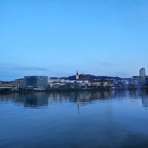  at Vegan Travel - Vegan Cruises & Tours in Muenster