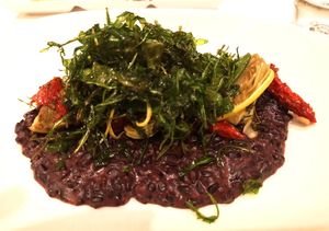  at Vegan Travel - Vegan Cruises & Tours in Muenster