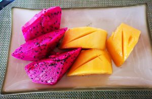  at Vegan Travel - Vegan Cruises & Tours in Muenster