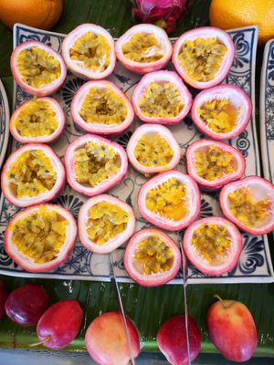  at Vegan Travel - Vegan Cruises & Tours in Muenster