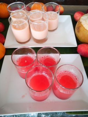 Breakfast Smoothies at Vegan Travel - Vegan Cruises & Tours in Muenster