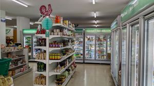 Interior at Vegan Grocery Store in Sydney