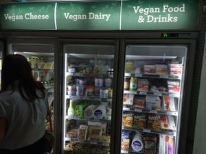 Frozen and refrigerated goods. at Vegan Grocery Store in Sydney