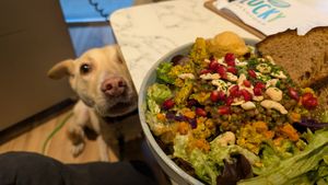 Vita "mine" bowl at LUCKY in Moenchengladbach