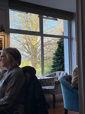 Dining area with view  at Millbrook Lodge Hotel in Ballynahinch