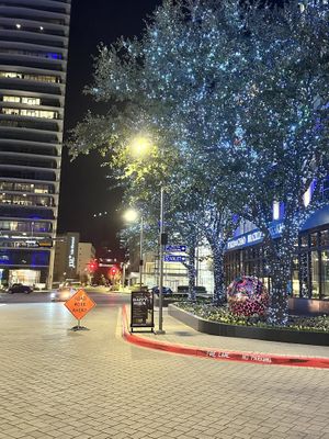   at Vegan Vibrationz in Plano