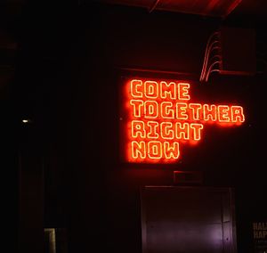   at Vegan Vibrationz in Plano