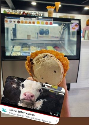 Coffee Chip en barquilla/cono. (Watch "Dairy Is Scary" & the one made my Erin Janus) at Via Lactea Scoop Shop in San Juan