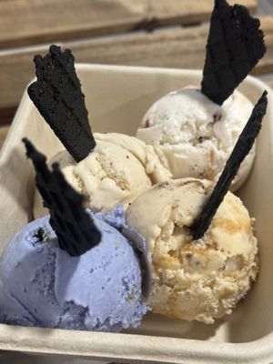 Sampler flight: Home Planet, Praline, Vanilla Bean Caramel, and Guava Panetela #Veganuary at Via Lactea Scoop Shop in San Juan