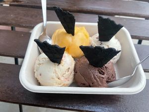Went back the next day to try other flavours; top left clockwise: passion fruit sorbet, hazelnut, dark chocolate, praline. at Via Lactea Scoop Shop in San Juan