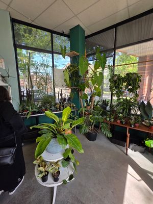  at Botanical Cafe in Chicago