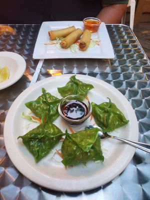 Vegetables dumplings and spring rolls at Bua Thai Cuisine in Washington