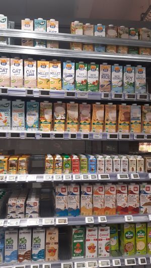 Selection of plant milks at Sequoia - Place Dumon in Brussels