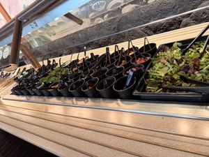 Salad bar. Plenty of veggies!  at Polynesian Cultural Center in Laiea