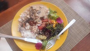 Seitan Mushroom Stroganoff at Gira Sol in Tomar