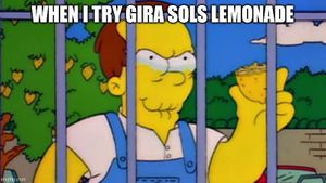  at Gira Sol in Tomar