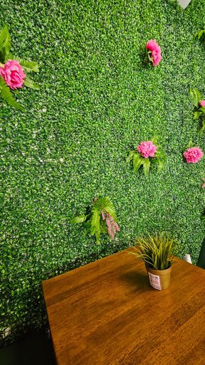  at The Vegan Factory  in Bronx