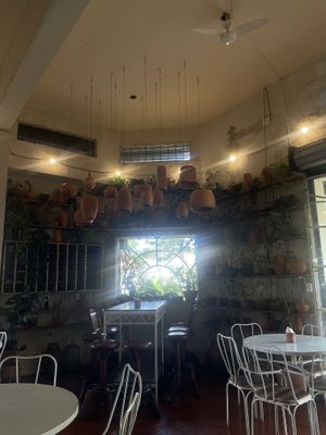   at Florestal in Belo Horizonte