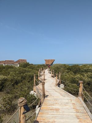 Views at MIKOKO in Umm Al Quwain