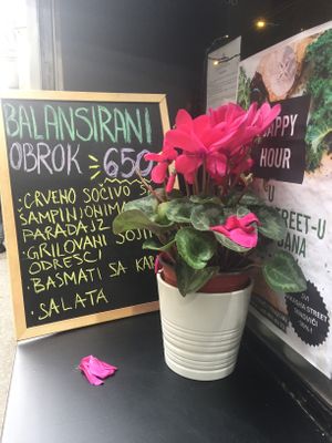 The hatch display at Vikasha Street in Belgrade