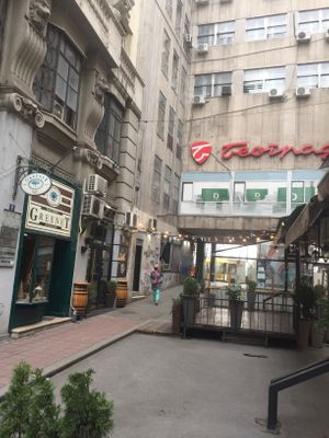 Vikasah is ahead on the left. at Vikasha Street in Belgrade