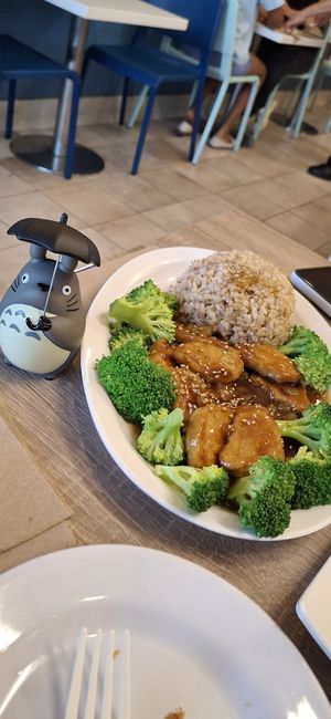 Orange Chicken at Happiness Cafe in San Jose