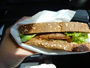 $8.75 Patty Melt: Not our favorite. Gardien Patty on bread with cheese and veggies. Definitely better options here. Comes with potato chips at Happiness Cafe in San Jose