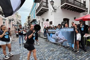 Calle Fortaleza (al lado de Anita Gelato) at Casa Vegana de la Comunidad in San Juan