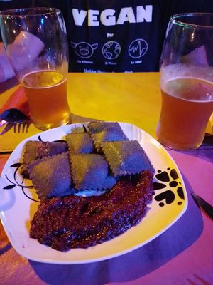 Ravioles fritos at Pájaros Volando Resto-Bar in Villa De Merlo