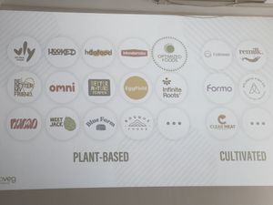   at Proveg International in Berlin