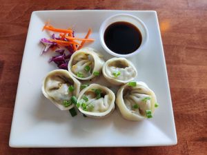 Vegetable Dumplings at Thai Origin in Allentown