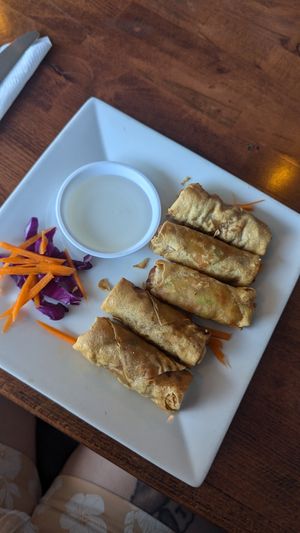 Crispy Veggie Spring Rolls at Thai Origin in Allentown