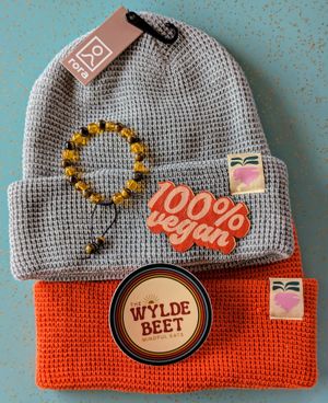 Cool Merch at The Wylde Beet in Hailey