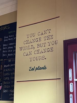   at don Fred in Newtown