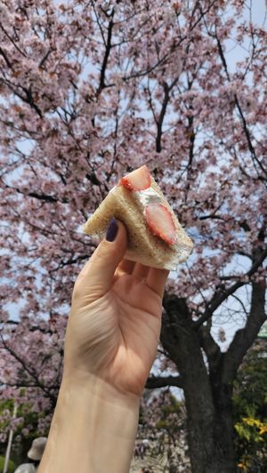 Strawberry sandwich at Asakara Good Store in Osaka