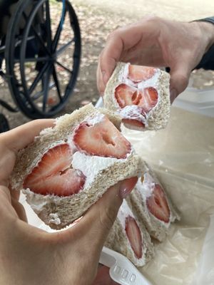 Fruit sandwich  at Asakara Good Store in Osaka