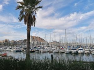  at Restaurant Dársena in Alicante