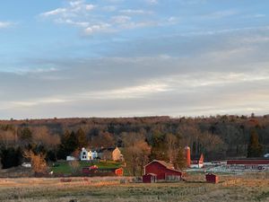  at Tamerlaine Sanctuary and Preserve in Montague