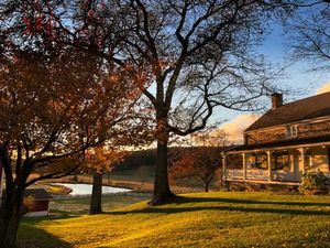  at Tamerlaine Sanctuary and Preserve in Montague