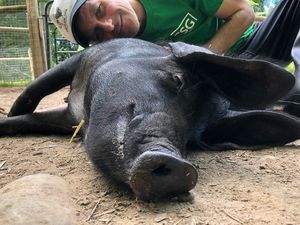  at Tamerlaine Sanctuary and Preserve in Montague