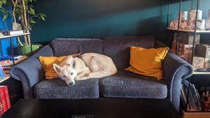 Yuki at Café Huskies in Longyearbyen