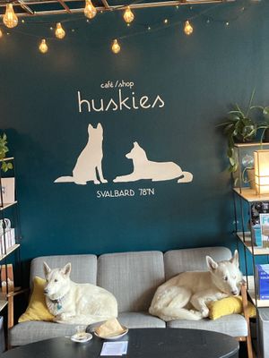   at Café Huskies in Longyearbyen