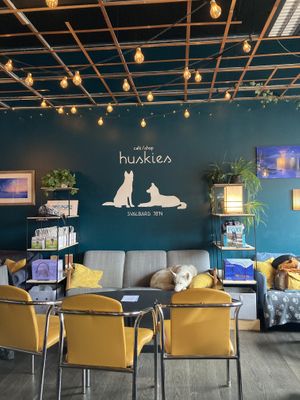   at Café Huskies in Longyearbyen
