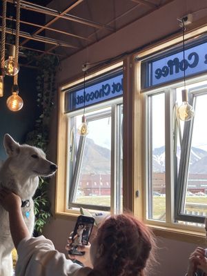   at Café Huskies in Longyearbyen