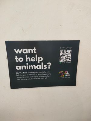 We The Free at Living Food Lab Canggu in Canggu