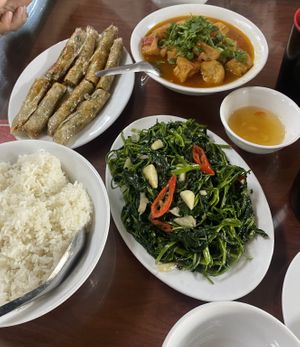 Tofu in tomato sauced, veggies, spring rolls and rice  at Nhà Hàng Thùy Dương in Ninh Binh