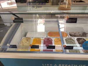  at Lady Janes Ice Cream Parlour in Rotorua
