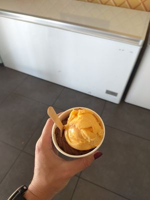  at Lady Janes Ice Cream Parlour in Rotorua
