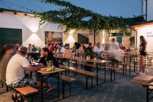  at Das Weinstein - Weingut Bischof in Nappersdorf